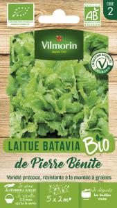Laitue Batavia de Pierre Bénite - BIO